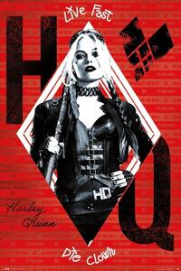 Plakat, Obraz The Suicide Squad - Harley Quinn, (61 x 91.5 cm)