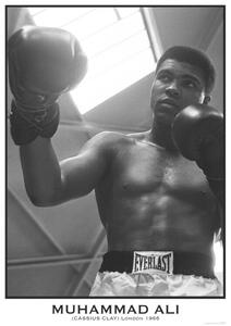 Plakat, Obraz Muhammad Ali, (59.4 x 84.1 cm)