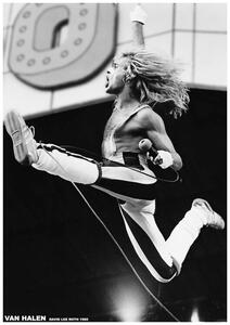 Plakat, Obraz Van Halen - David Lee Roth 1980, (59.4 x 84.1 cm)