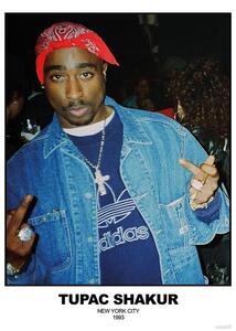 Plakat, Obraz Tupac Shakur - N Y C 1993, (59.4 x 84.1 cm)