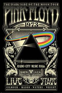 Plakat, Obraz Pink Floyd - 1973