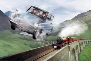 Plakat, Obraz Harry Potter - Ford, (91.5 x 61 cm)