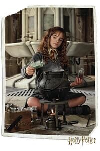 Plakat, Obraz Harry Potter - Hermione Granger, (80 x 120 cm)