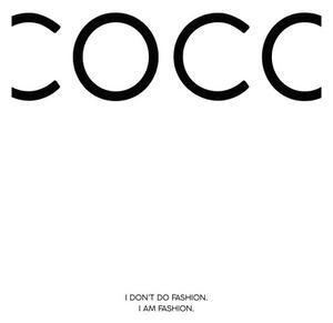 Plakat, Obraz Finlay Noa - Coco 1