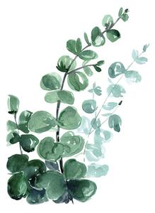 Plakat, Obraz Blursbyai - Watercolour eucalyptus, (40 x 60 cm)
