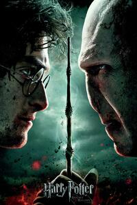 Plakat, Obraz Harry Potter and the Deadly Hallows, (80 x 120 cm)