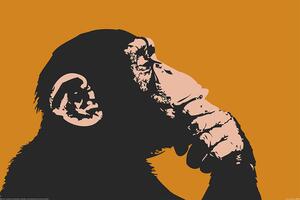 Plakat, Obraz Monkey - Thinking, (120 x 80 cm)