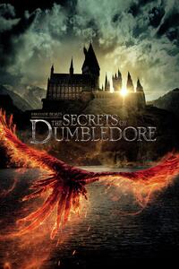 Plakat, Obraz Fantastic Beasts - The secrets of Dumbledore, (80 x 120 cm)