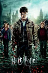 Plakat, Obraz Harry Potter and the Deadly Hallows - trio, (80 x 120 cm)