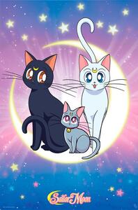 Plakat, Obraz Sailor Moon - Luna Artemis Diana