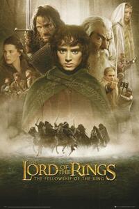 Plakat, Obraz Lord Of The Rings - fellowship, (61 x 91.5 cm)