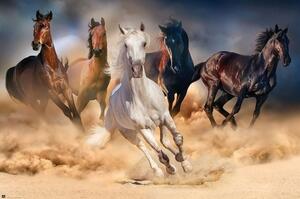 Plakat, Obraz Konie - Five horses, (91.5 x 61 cm)