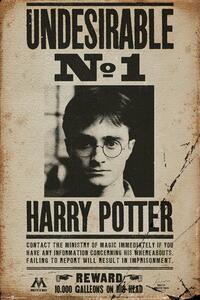 Plakat, Obraz Harry Potter - Undesirable n1, (61 x 91.5 cm)