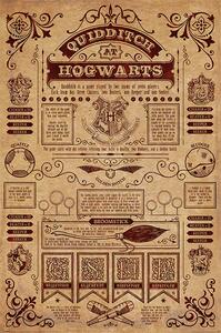 Plakat, Obraz Harry Potter - Quidditch At Hogwarts, (61 x 91.5 cm)