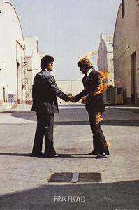 Plakat, Obraz Pink Floyd - wish you were here, (61 x 91.5 cm)