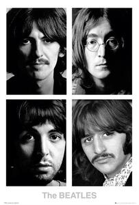 Plakat, Obraz The Beatles - White album, (61 x 91.5 cm)