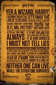 Plakat, Obraz Harry Potter - Quotes, (61 x 91.5 cm)