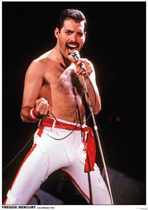 Plakat, Obraz Queen Freddie Mercury - Los Angeles 1982, (59.4 x 84 cm)