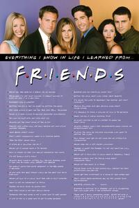 Plakat, Obraz Friends - Everything I Know, (61 x 91.5 cm)