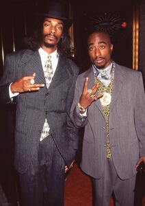 Plakat, Obraz Snoop Dogg Tupac - Suits, (59.4 x 84.1 cm)