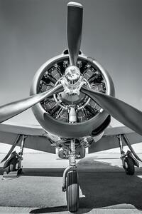 Plakat, Obraz Samolot - Propeller