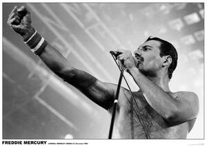 Plakat, Obraz Freddie Mercury - Wembley 1984, (84.1 x 59.4 cm)