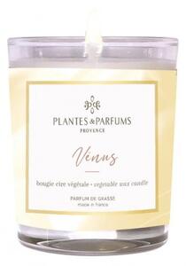 Świeca zapachowa perfumowana 75g kolekcja Gwiazdozbiory - Venus