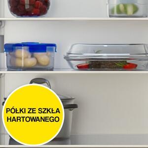 Lodówka BEKO b100 RCSA240K40WN MinFrost EasyPull 152,8cm Biała