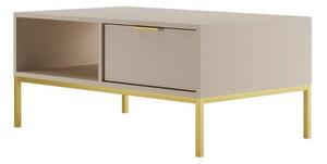 Stolik kawowy AUSTIN 100x60 kaszmir/zÅoty