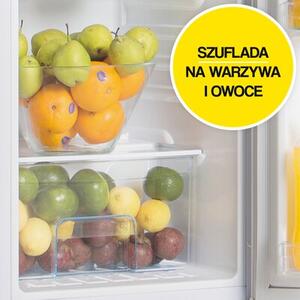 Lodówka SMITH&BROWN SFTF-111-WE3 125cm Biała