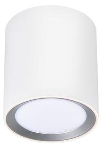 Lampa sufitowa Landon Smart Long - biała tuba LED