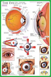 Plakat, Obraz The eye