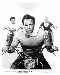 Fotografia Mary Murphy and Marlon Brando In 'The Wild One', Archive Photos