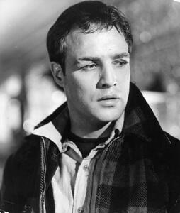 Fotografia Marlon Brando In 'On The Waterfront', Archive Photos