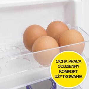 Lodówka AMICA FK1815.4U(E) 136cm Biała