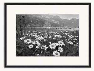 Oprawiony druk cyfrowy Alpine Meadow