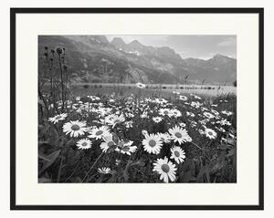 Oprawiony druk cyfrowy Alpine Meadow