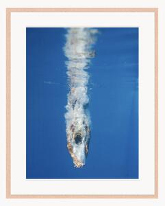 Oprawiony druk cyfrowy Diving Into The Water