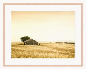 Oprawiony druk cyfrowy Provencal Farm