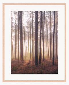 Oprawiony druk cyfrowy Into The Foggy Woods