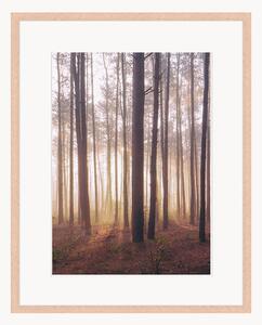 Oprawiony druk cyfrowy Into The Foggy Woods