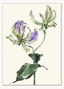 Plakat Gloriosa