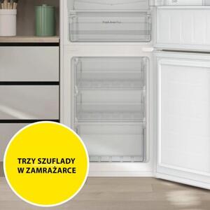 Lodówka CANDY CCG3L517EW 176cm Biała Low Frost szerokość 55cm
