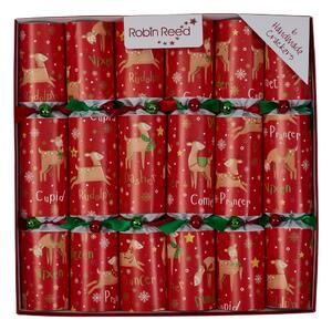 Crackery świąteczne zestaw 6 szt. Rudolph & Friends – Robin Reed