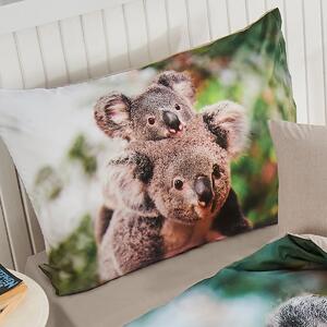 Pościel Koala bear renforcé, 140 x 200 cm, 70 x 90 cm