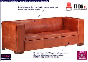 3-osobowa sofa z ciemnobrązowej skóry naturalnej - Exea 3Q