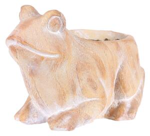 Betonowa obudowa Żaba, ceramika MgO, 32 x 23 x 23cm