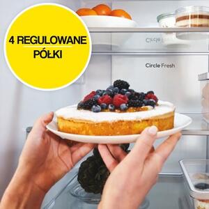 Lodówka CANDY CNCQ2T618EW Fresco 300 No Frost 185cm Biała