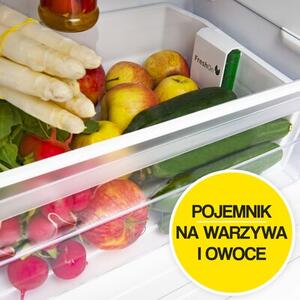 Lodówka AMICA FD2355.4(E) 145cm Biała