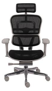 -10% z kodem 4B17345 - Ergonomiczny fotel biurowy Ergohuman 2 Elite Pro GS Black